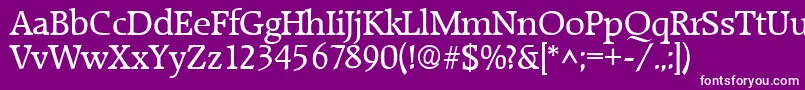 RaleighRegular Font – White Fonts on Purple Background