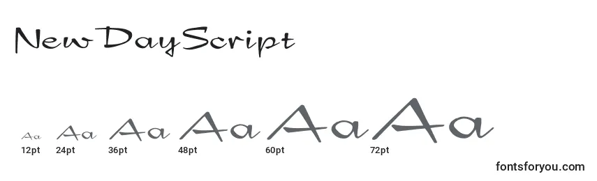 NewDayScript Font Sizes