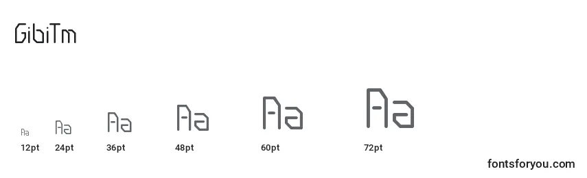 GibiTm Font Sizes
