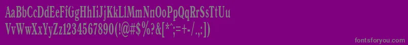 Czcionka Antiqua50b – szare czcionki na fioletowym tle
