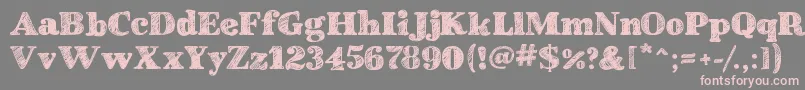 SchoolBookNew Font – Pink Fonts on Gray Background