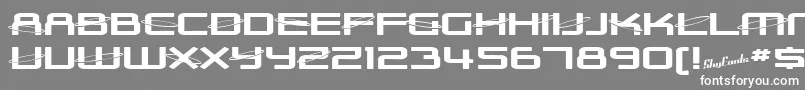 SfOuterLimitsExtupright Font – White Fonts on Gray Background