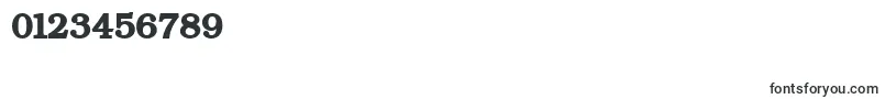 ErBukinistMacBold Font – Fonts for Numbers and Digits
