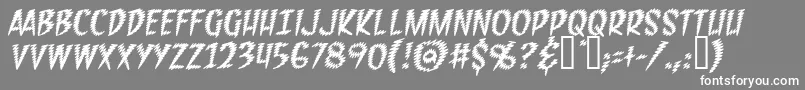 FeedbackBbItalic Font – White Fonts on Gray Background