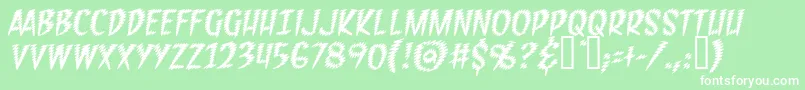 FeedbackBbItalic Font – White Fonts on Green Background