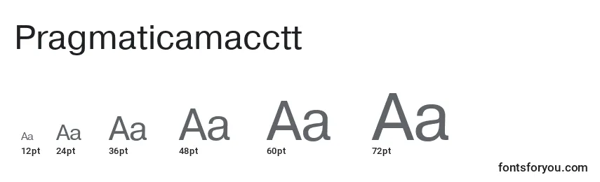 Размеры шрифта Pragmaticamacctt