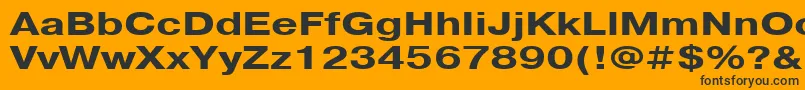 PragmaticacttBold130b Font – Black Fonts on Orange Background