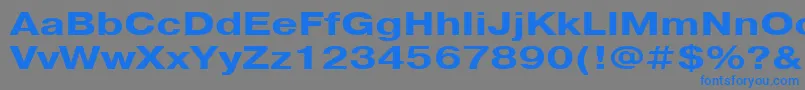 PragmaticacttBold130b Font – Blue Fonts on Gray Background