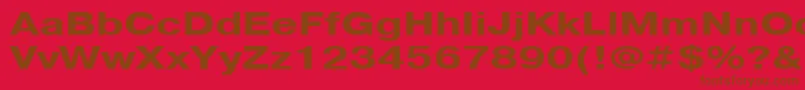 フォントPragmaticacttBold130b – 赤い背景に茶色の文字