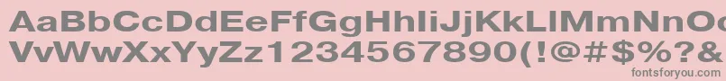 PragmaticacttBold130b Font – Gray Fonts on Pink Background
