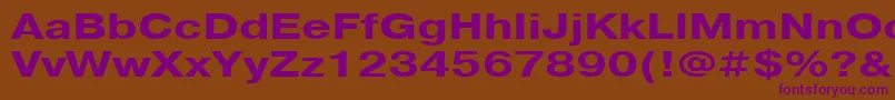 PragmaticacttBold130b Font – Purple Fonts on Brown Background