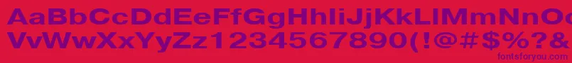 PragmaticacttBold130b-Schriftart – Violette Schriften auf rotem Hintergrund