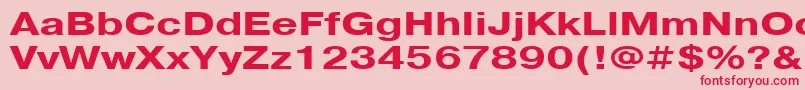 PragmaticacttBold130b Font – Red Fonts on Pink Background