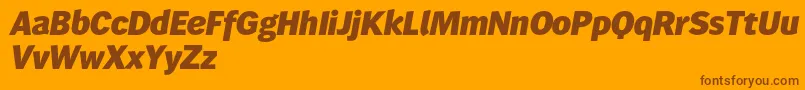 Wendelinreduced86fettkursiv Font – Brown Fonts on Orange Background