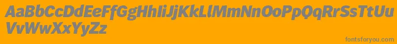 Wendelinreduced86fettkursiv Font – Gray Fonts on Orange Background