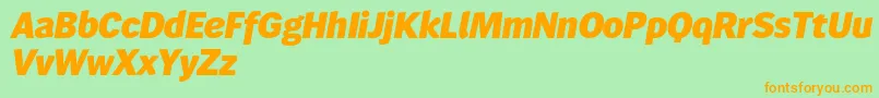 Wendelinreduced86fettkursiv Font – Orange Fonts on Green Background