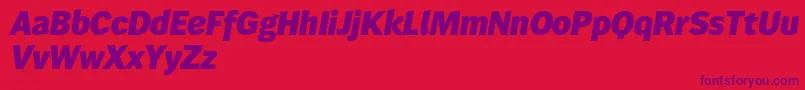 Wendelinreduced86fettkursiv Font – Purple Fonts on Red Background
