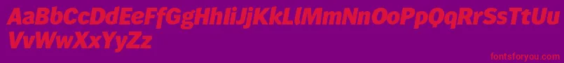 Wendelinreduced86fettkursiv Font – Red Fonts on Purple Background