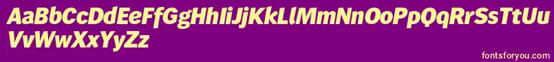 Wendelinreduced86fettkursiv Font – Yellow Fonts on Purple Background