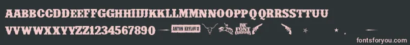 IfcInsaneRodeoBoldBold Font – Pink Fonts on Black Background