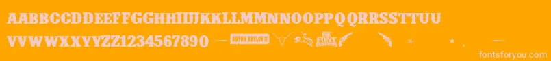 IfcInsaneRodeoBoldBold Font – Pink Fonts on Orange Background