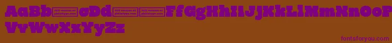 RynoSlabDemo Font – Purple Fonts on Brown Background