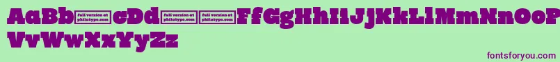 RynoSlabDemo Font – Purple Fonts on Green Background