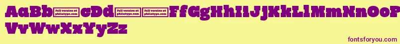 RynoSlabDemo Font – Purple Fonts on Yellow Background