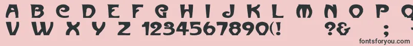 Parismetrowd Font – Black Fonts on Pink Background