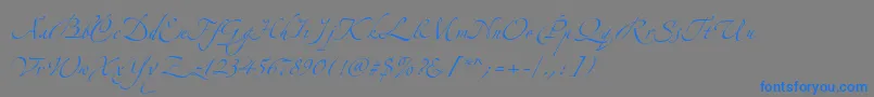 AlexandraZeferinoOne-Schriftart – Blaue Schriften auf grauem Hintergrund