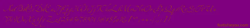 Шрифт AlexandraZeferinoOne – коричневые шрифты на фиолетовом фоне
