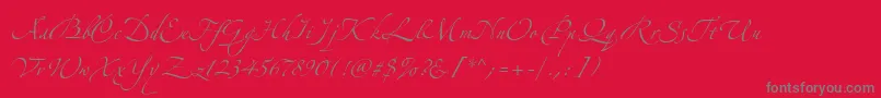 AlexandraZeferinoOne-Schriftart – Graue Schriften auf rotem Hintergrund