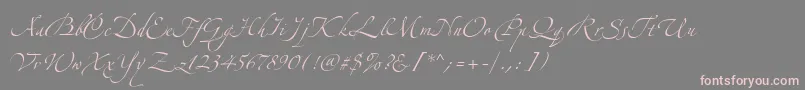 Шрифт AlexandraZeferinoOne – розовые шрифты на сером фоне