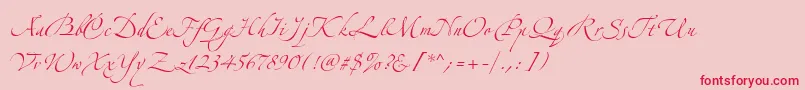 AlexandraZeferinoOne Font – Red Fonts on Pink Background