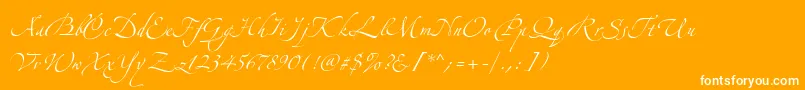 AlexandraZeferinoOne Font – White Fonts on Orange Background