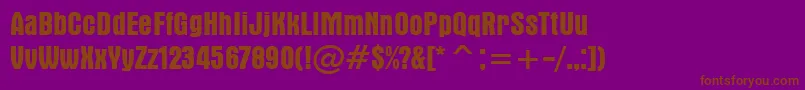 AuroraBoldCondensedBt Font – Brown Fonts on Purple Background