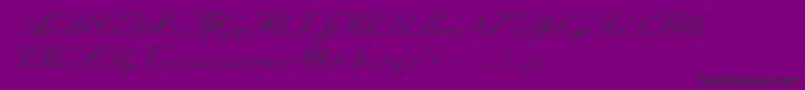 WynnerockscriptTwobold-fontti – mustat fontit violetilla taustalla