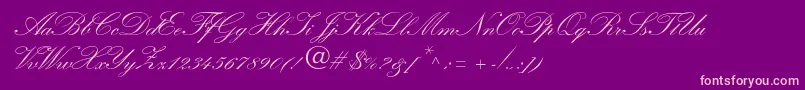 WynnerockscriptTwobold Font – Pink Fonts on Purple Background