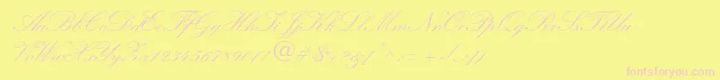 WynnerockscriptTwobold-Schriftart – Rosa Schriften auf gelbem Hintergrund