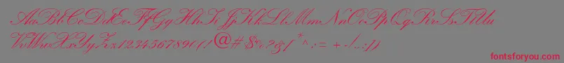 WynnerockscriptTwobold Font – Red Fonts on Gray Background