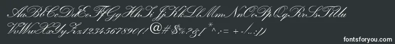 WynnerockscriptTwobold Font – White Fonts on Black Background