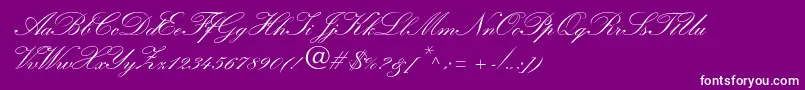 WynnerockscriptTwobold-Schriftart – Weiße Schriften auf violettem Hintergrund