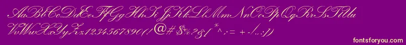 WynnerockscriptTwobold Font – Yellow Fonts on Purple Background