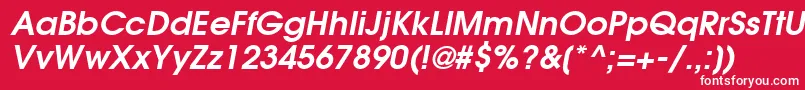 フォントItcAvantGardeGothicLtDemiOblique – 赤い背景に白い文字