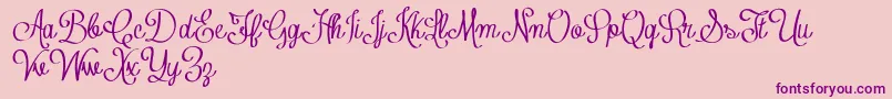 Police ContributeFreeVersion – polices violettes sur fond rose