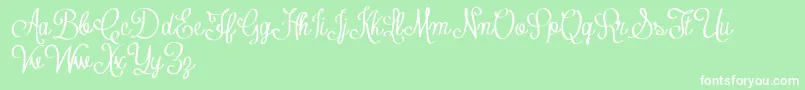 ContributeFreeVersion Font – White Fonts on Green Background
