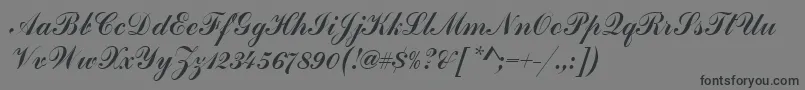 フォントHandscriptSf – 黒い文字の灰色の背景