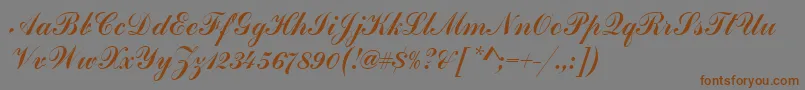 HandscriptSf-fontti – ruskeat fontit harmaalla taustalla