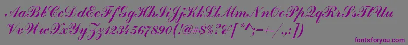HandscriptSf-fontti – violetit fontit harmaalla taustalla