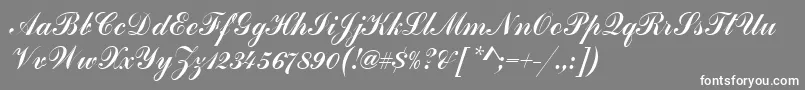 HandscriptSf-fontti – valkoiset fontit harmaalla taustalla
